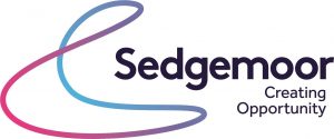 Sedgemoor Council